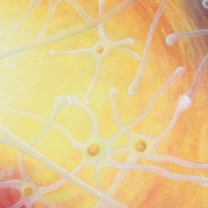 Curso Básico Terapia Neural 2025